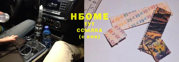 стаф Алексин