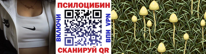 Галлюциногенные грибы прущие грибы  Протвино 